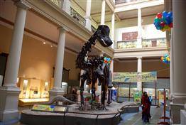 La estrella del Museo, un “vecino ilustre” que cumple cien años en la Ciudad