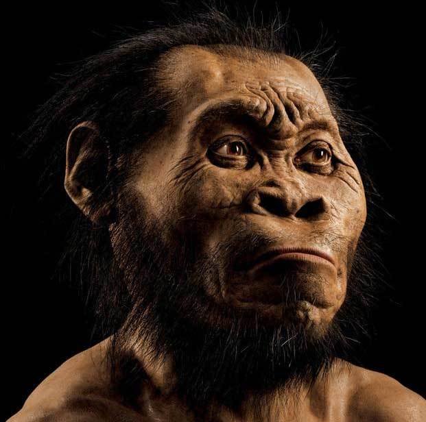 Revelan cómo vivía el “Homo Naledi”
