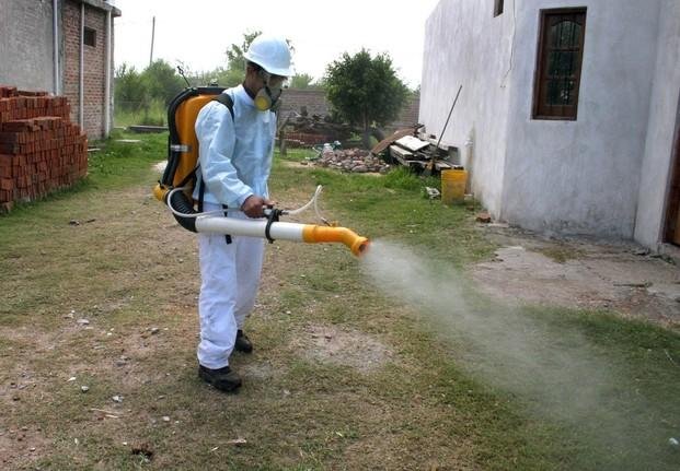 Impulsan acciones contra el mosquito que causa dengue
