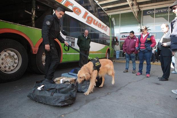 Nueve choferes de larga distancia dieron positivo en control de drogas