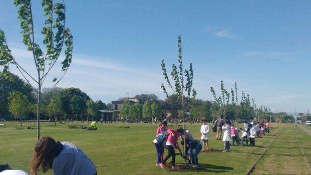 Más árboles para Meridiano v