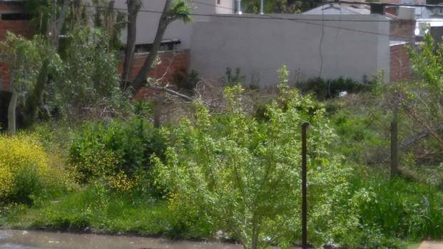 Crecen los reclamos vecinales por terrenos baldíos en una zona de Villa Castells