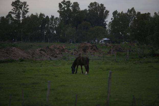 Vecinos denuncian que una obra puede inundar terrenos de Sicardi