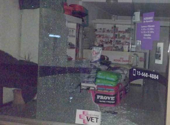 Entraron en una veterinaria, robaron y soltaron a varios perros