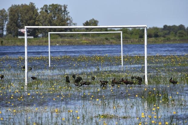 La saturación de las tierras, en estado crítico
