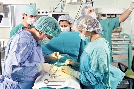 Aborto no punible: la Provincia de Buenos Aires adhirió al protocolo que lo regula