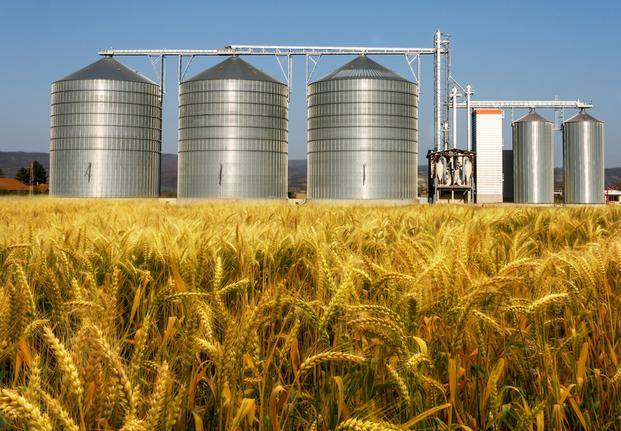 Las mejores noticias llegan desde el campo