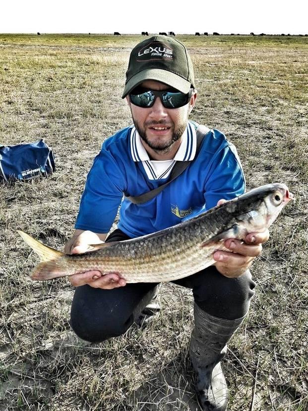 Ya se están pescando lisas en el arroyo Camarón