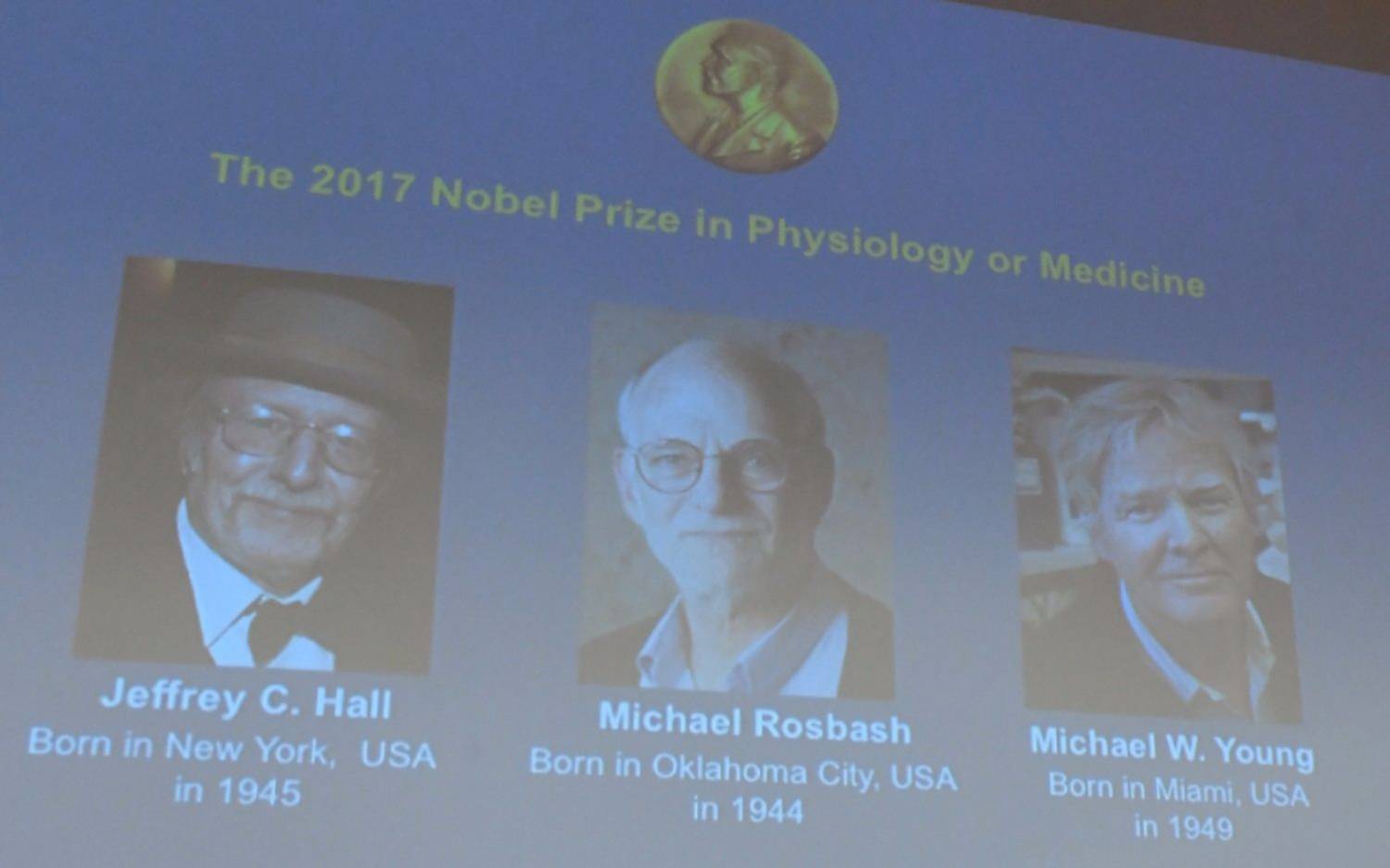 El Premio Nobel de Medicina, para los estudiosos del "reloj biológico"