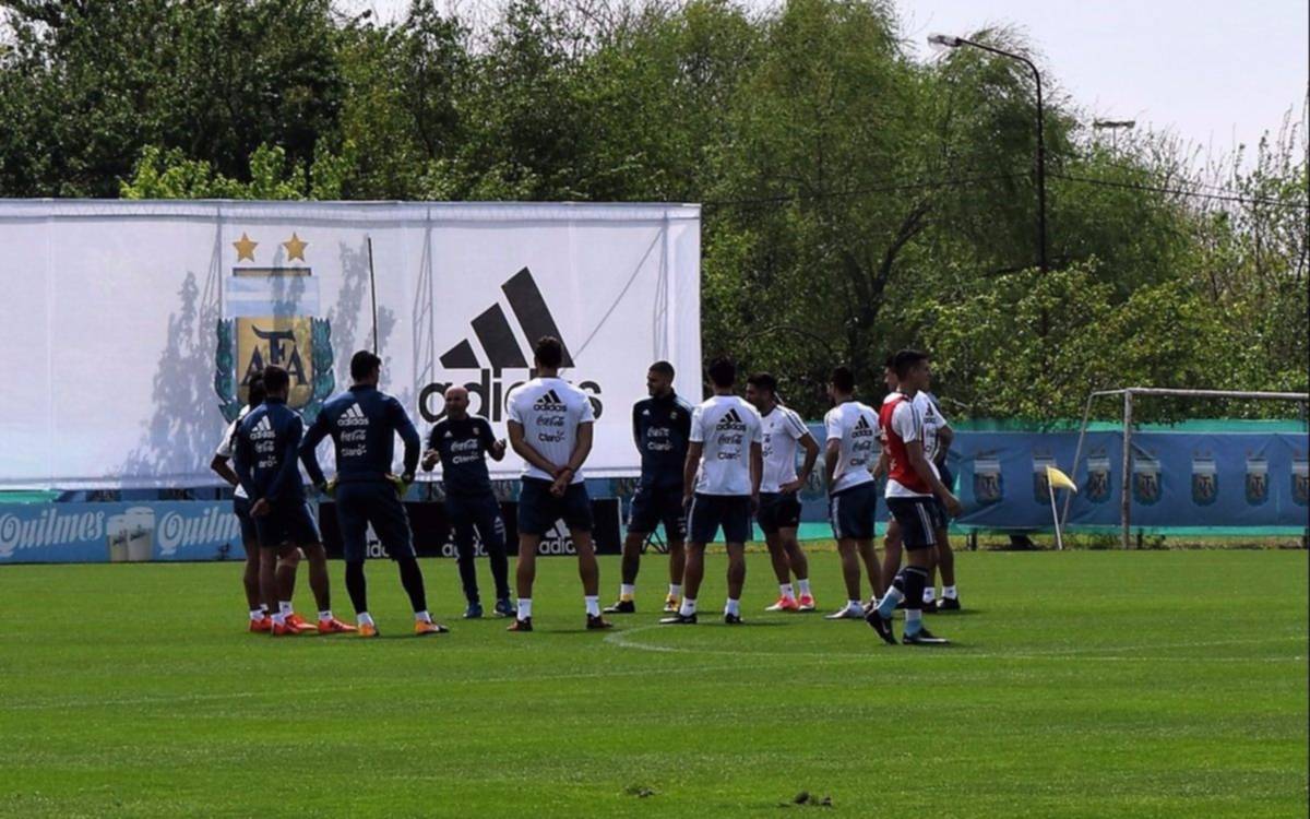 Plantel amarillo