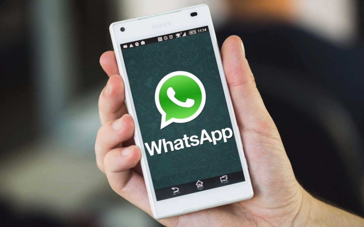 Conectate con EL DIA a través de WhatsApp