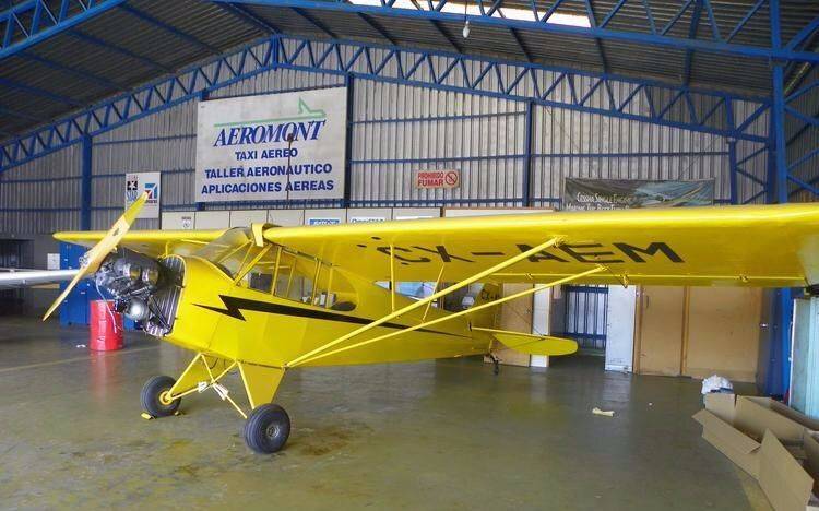 Viajaba por el aniversario de la tragedia de los Andes y murió al caer su avioneta