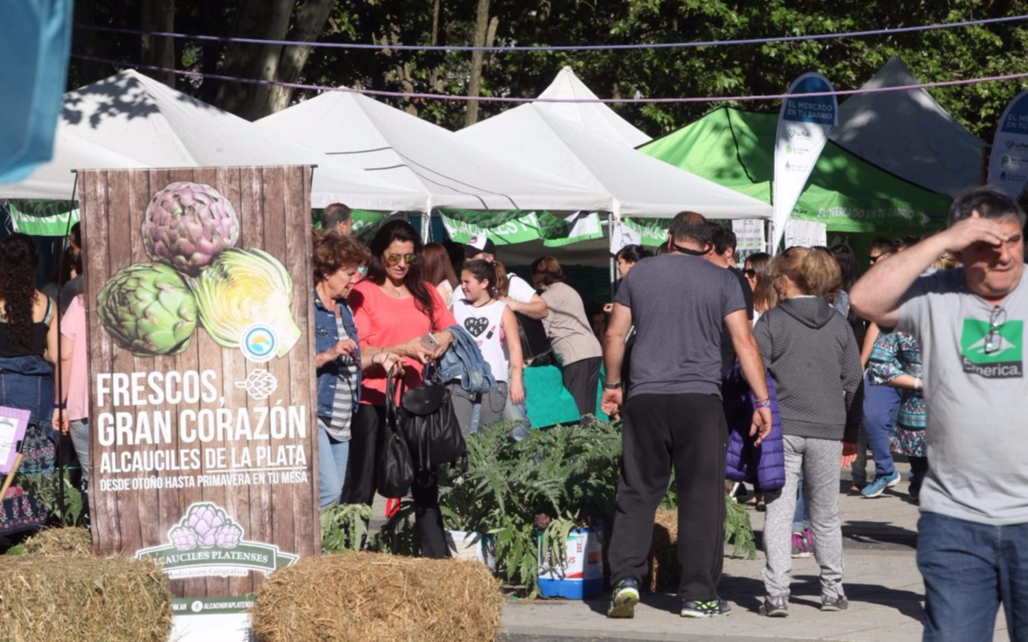 Última jornada, a pleno sol, de la Fiesta del Alcaucil Platense