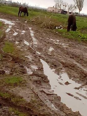 Berisso: una calle figura como asfaltada pero es un pantano