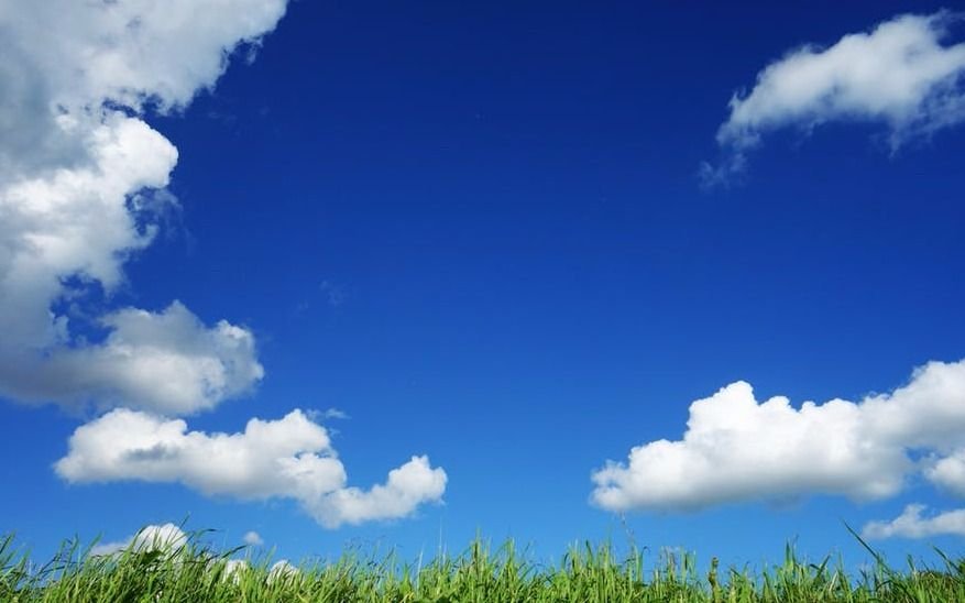Tras unos días nublados, volvió la primavera