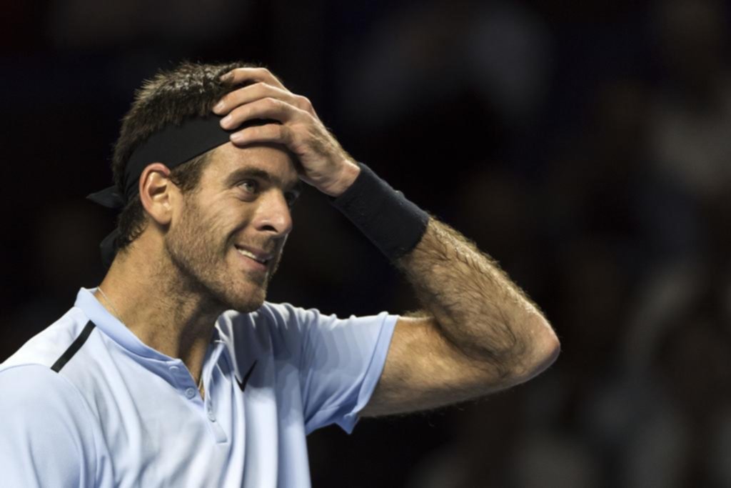 Schwartzman y Del Potro avanzan a paso firme