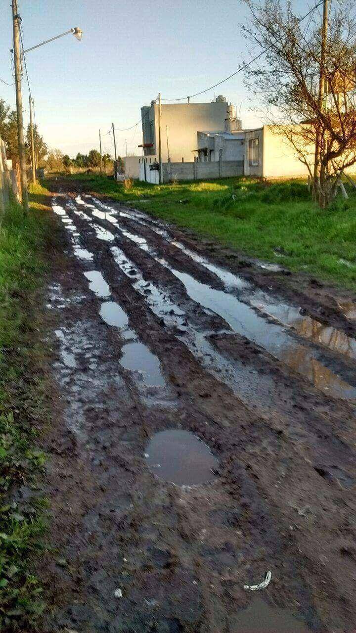 Tras la lluvia, tres árboles caídos y calles anegadas