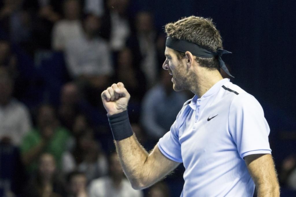 Del Potro y Federer, otra vez cara a cara