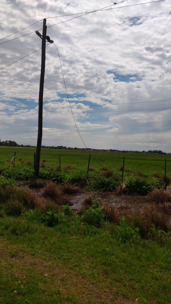 Quejas en el camino a Correas por postes caídos
