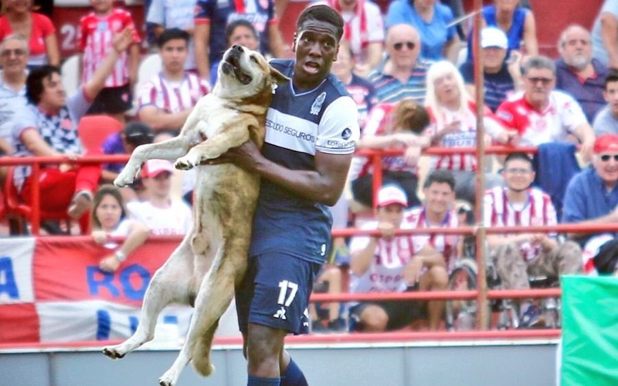 El perro a la cancha, las declaraciones de Troglio y una humorada de Damonte