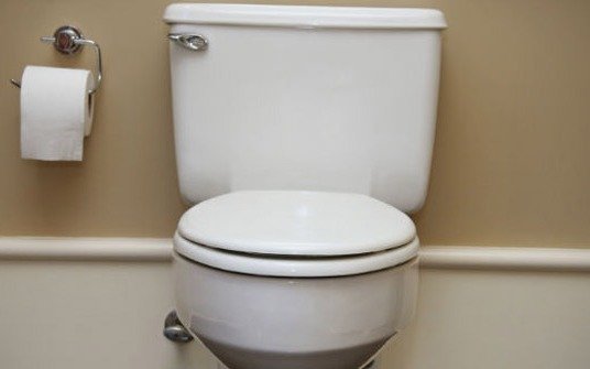 La OMS pidió una mayor inversión para que todos cuenten con un baño higiénico