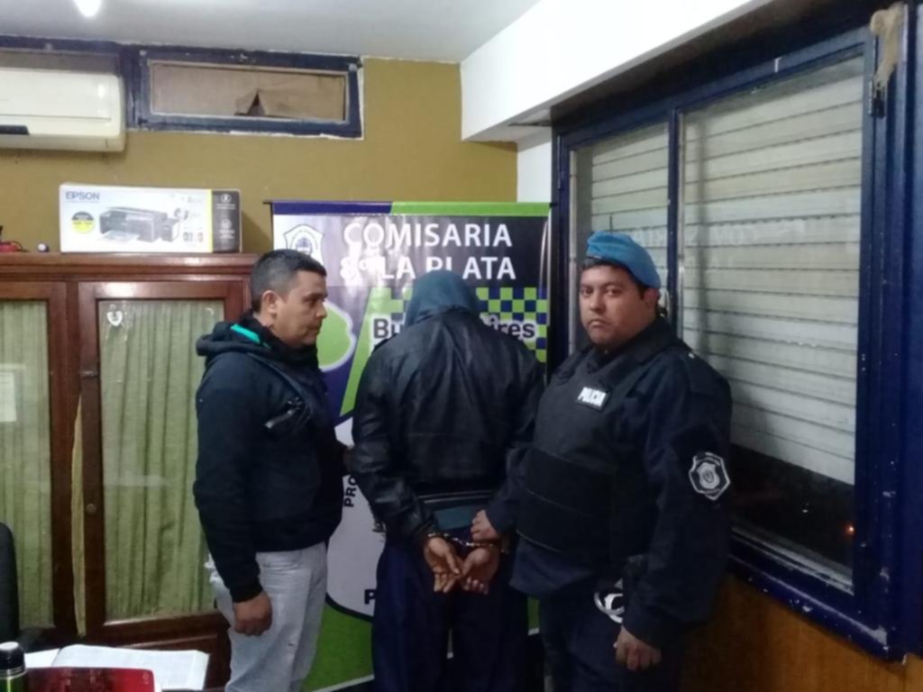 Abusada y golpeada por un ladrón en Villa Elvira