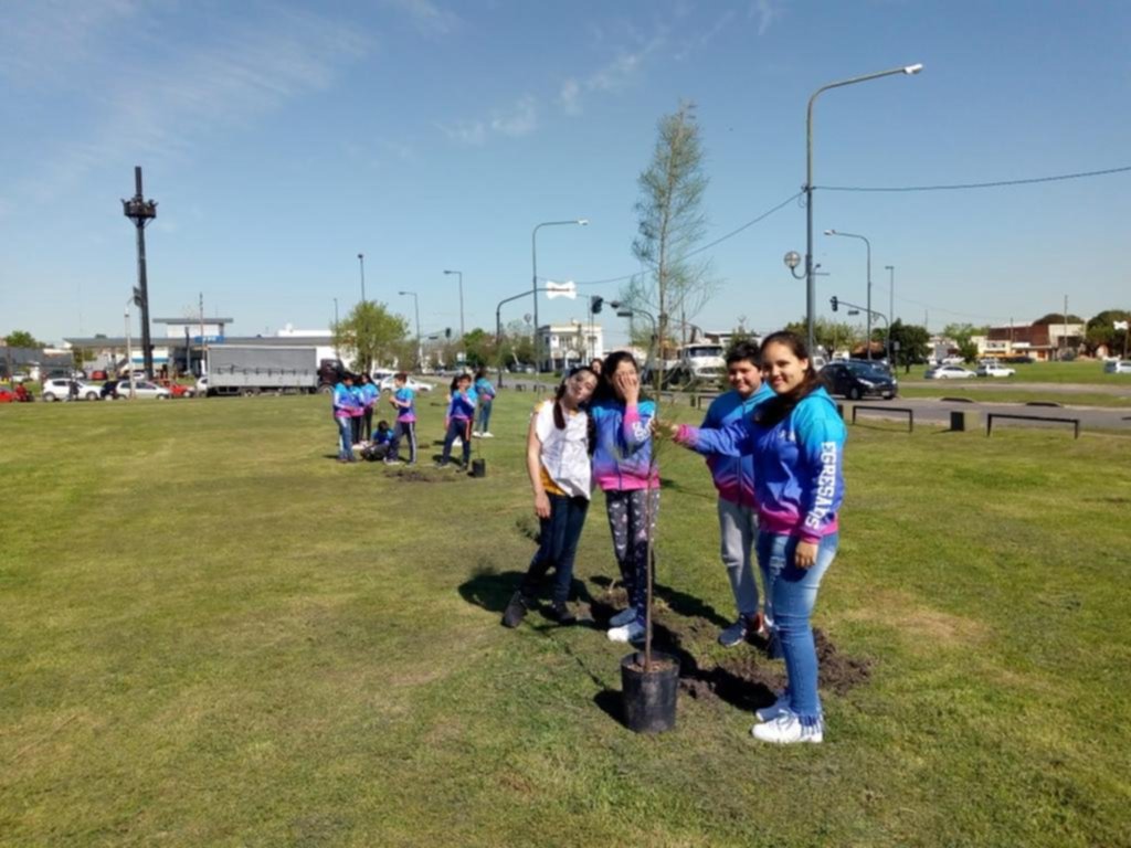 Escolares plantaron árboles en el parque de Meridiano V