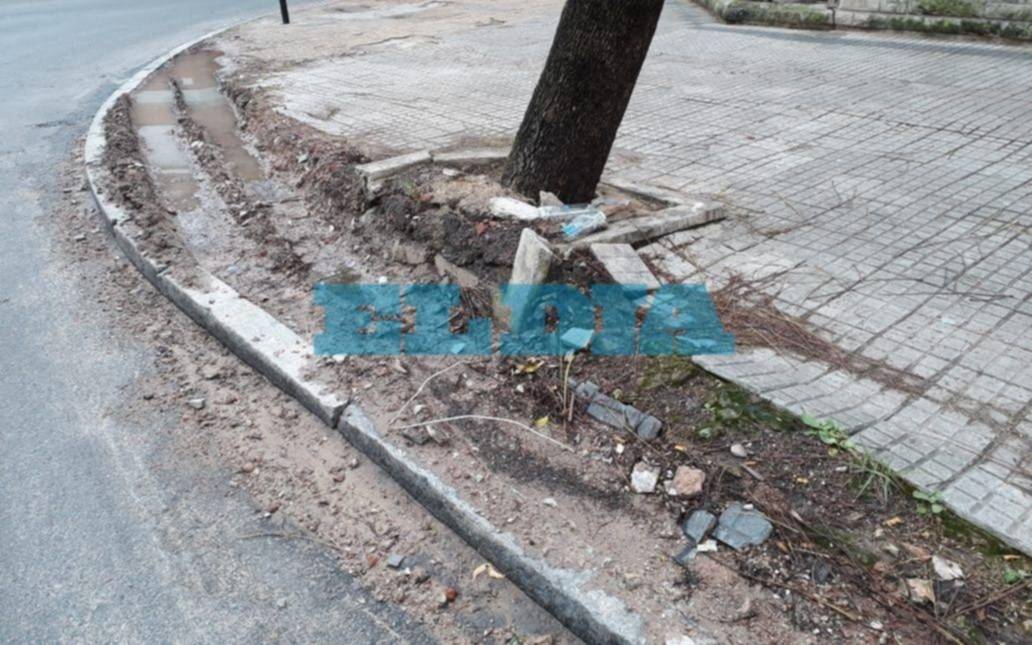 Una vecina desesperada: denuncian que un camión le destroza toda la vereda