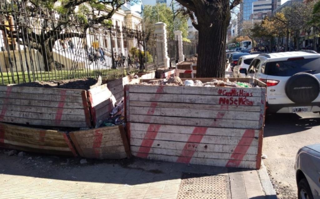 Una vereda totalmente obstruida en la Legislatura
