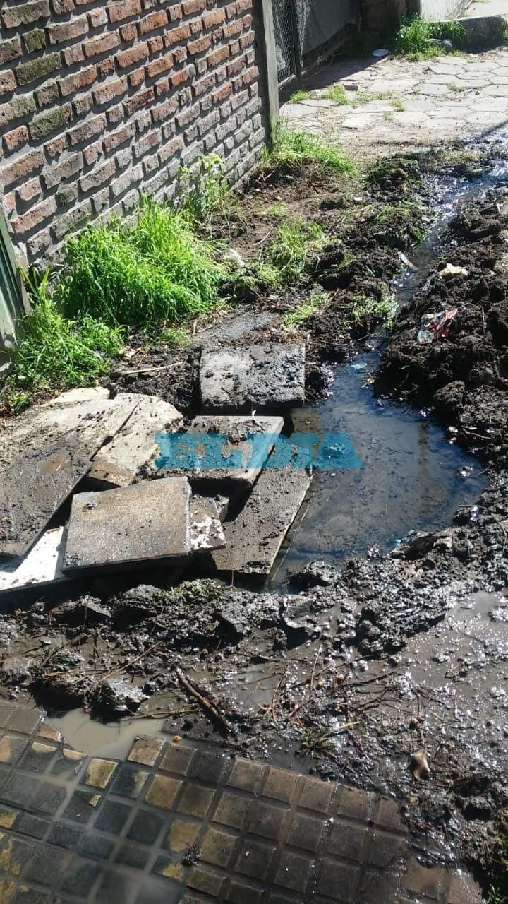 Olores nauseabundos y desbordes cloacales en 41 y 120