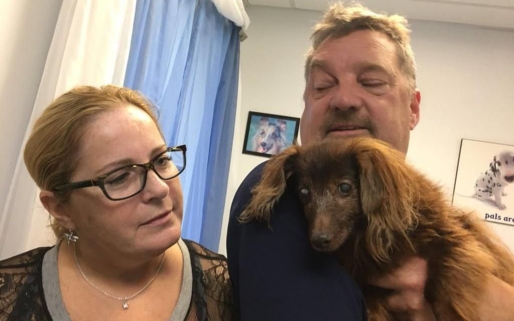 La perra que volvió a su hogar cinco años después de perderse