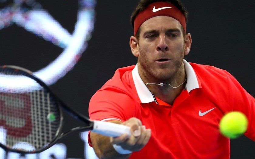 Delpo le ganó a la gripe y a Gasquet para avanzar en el Masters 1000 de Shanghai
