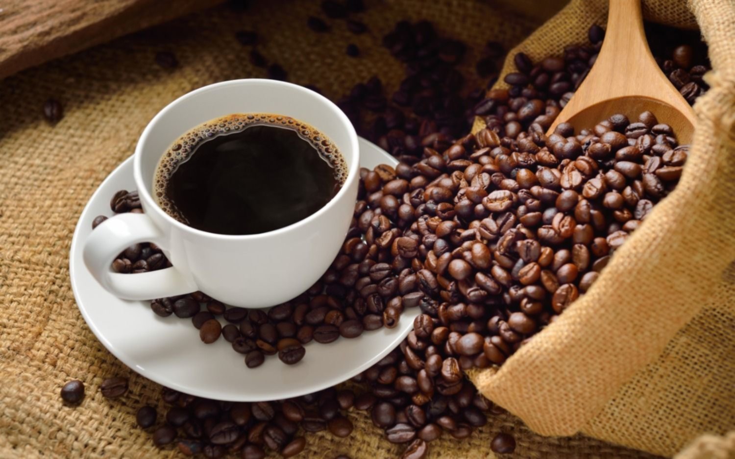 ¿América latina se queda sin café por un hongo?