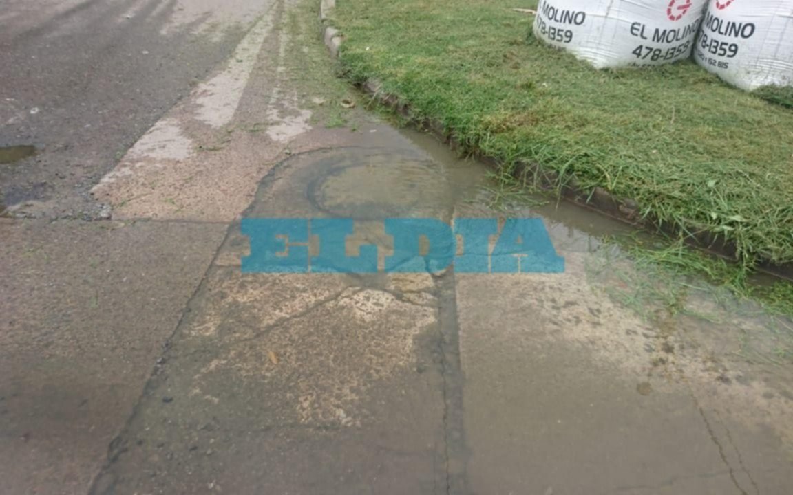 Vecinos hartos por un desborde cloacal que lleva dos meses