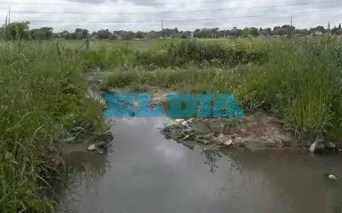 Denuncian "pastos altos, pozos, roedores y víboras"  en un barrio de Romero