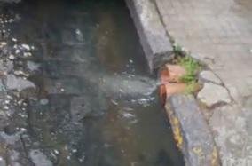 En 9 entre 41 y 42 se quejan por un olor nauseabundo
