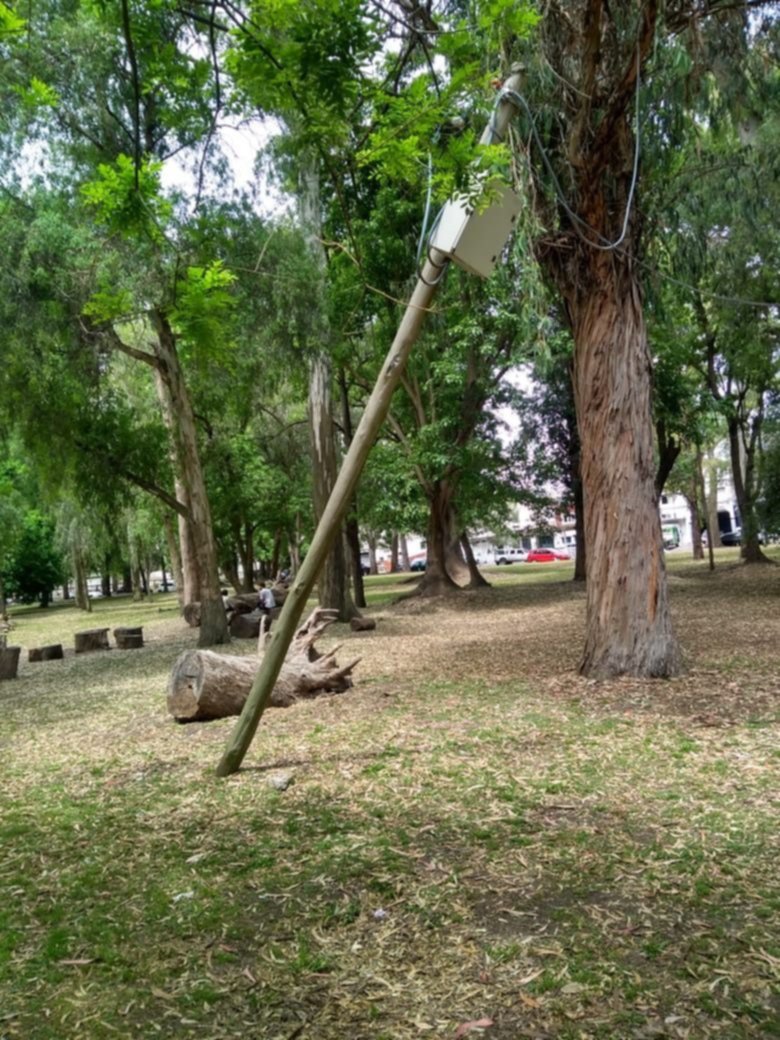 Denuncia por un poste a punto de caer en el Bosque