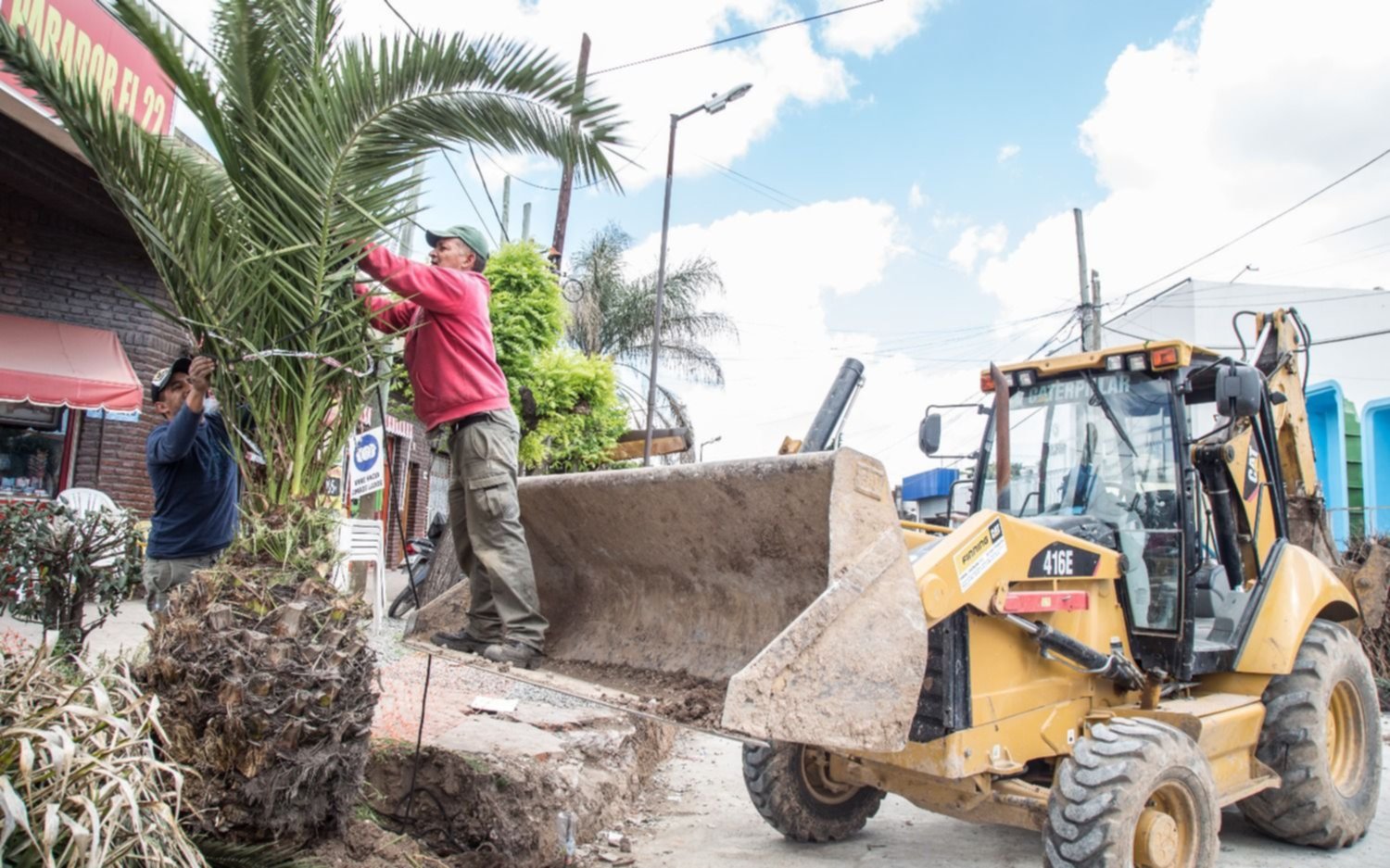 Trasplantan árboles por obras del Metrobus