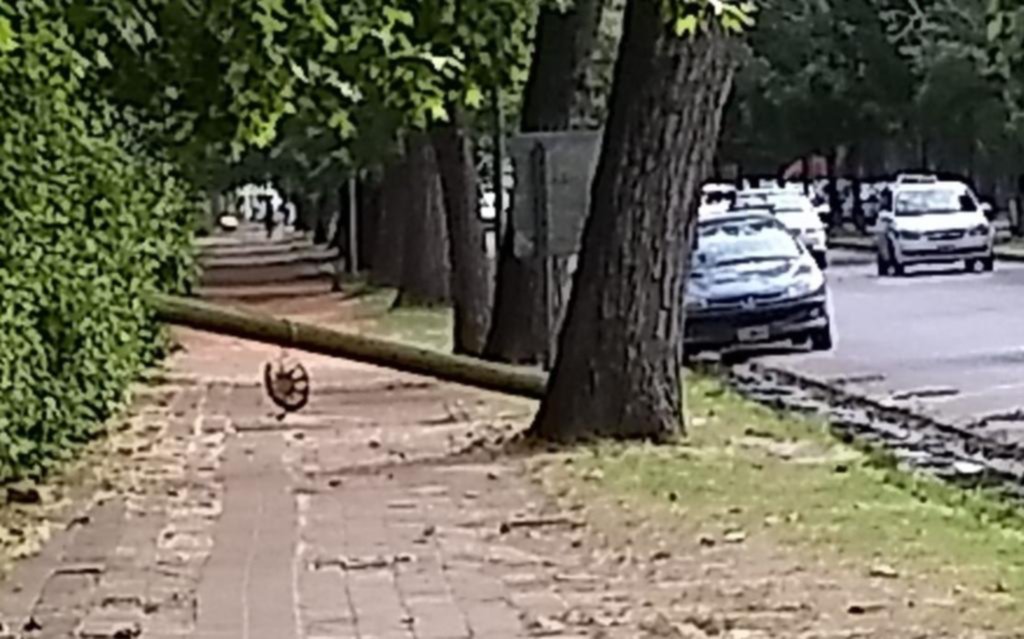 Poste tumbado sobre la vereda en el Bosque