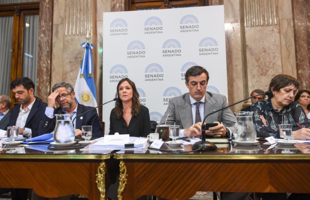 Gobernadores del PJ fueron al Senado a discutir la baja en Bienes Personales