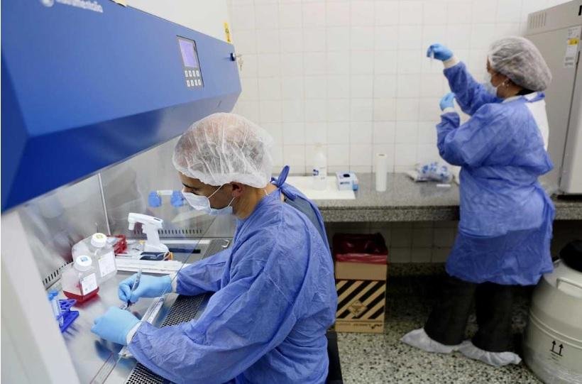 Buscan acelerar los implantes dentales con células madre