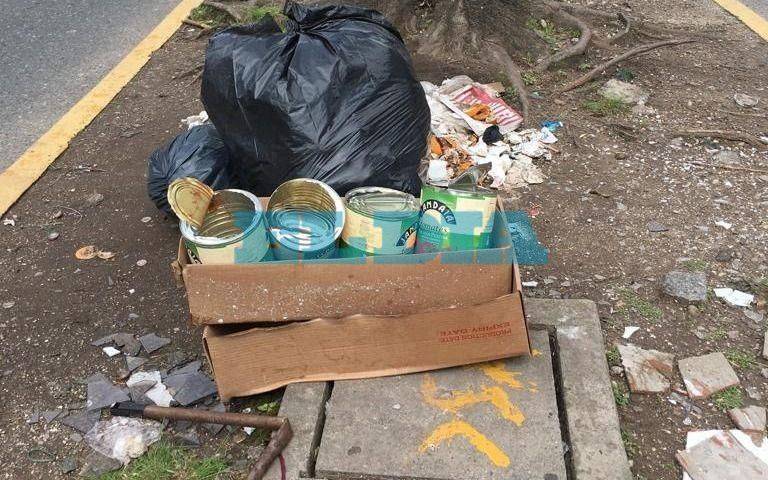Quejas por presencia de basura en 44 y 14