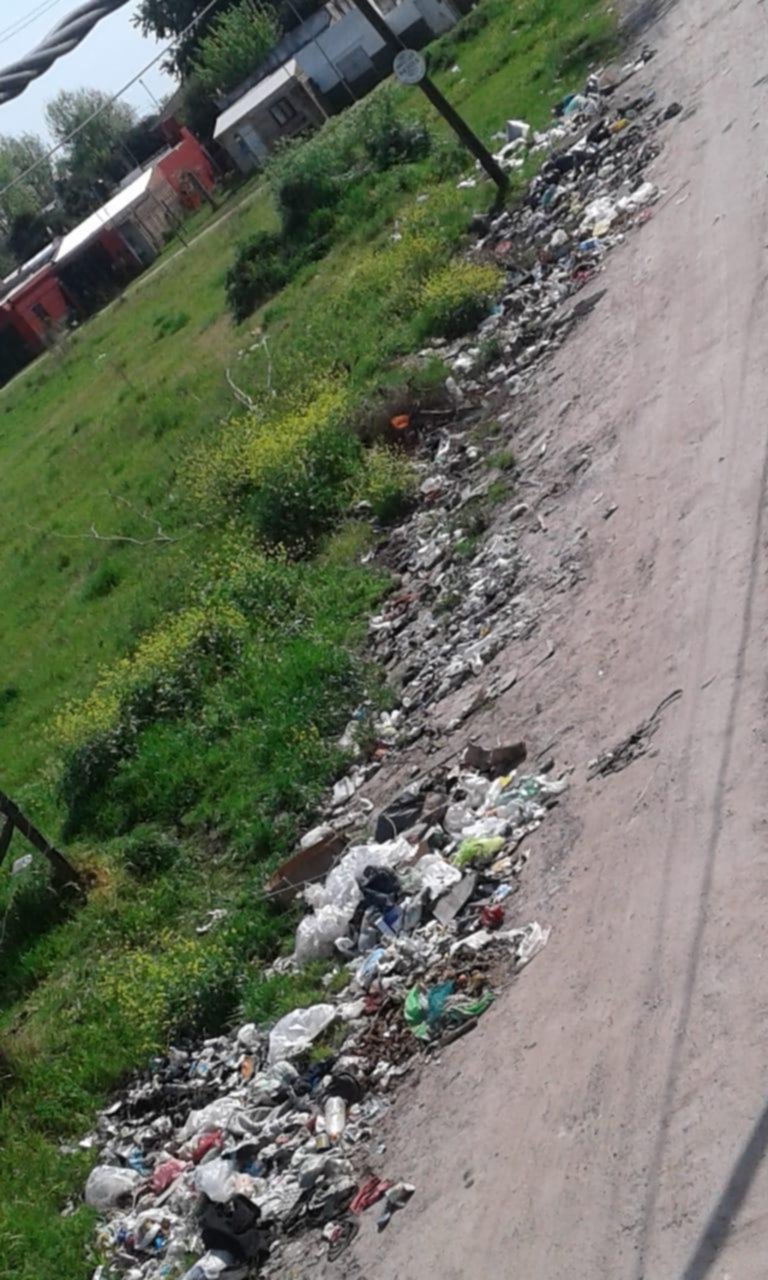 Se multiplican los reclamos por un basural en Berisso