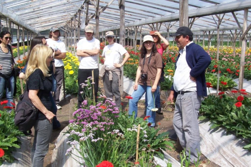 Productores de flores entre la crisis por los costos y la esperanza del Día de la Madre