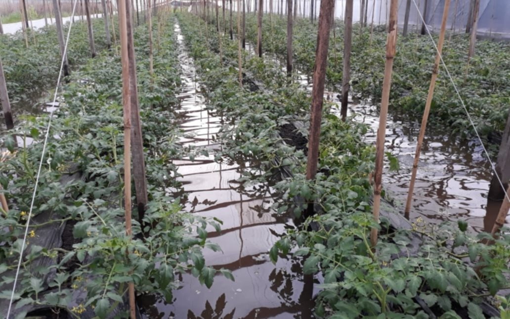  Pequeños productores se movilizan y piden "medidas urgentes frente a la inundación"