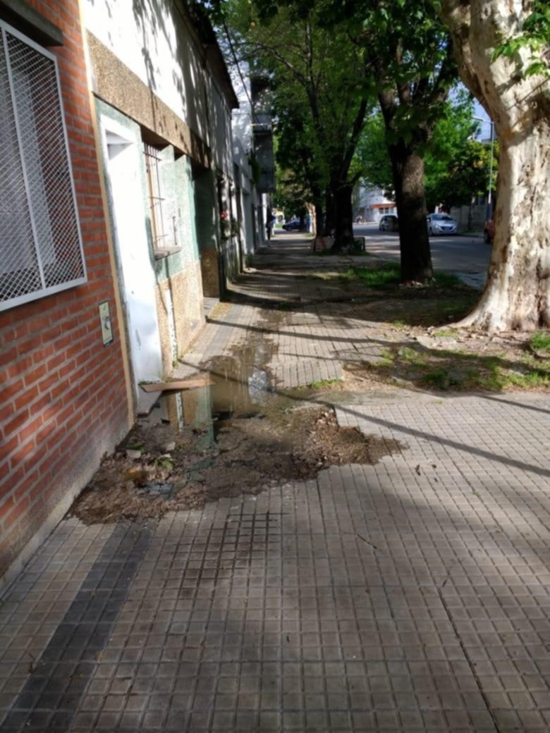 Una laguna que lleva 15 días en el barrio “El Mondongo”