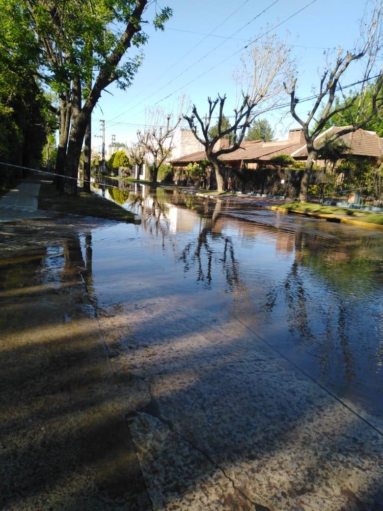 Una laguna por caño roto en Lacroze entre 15 y 16