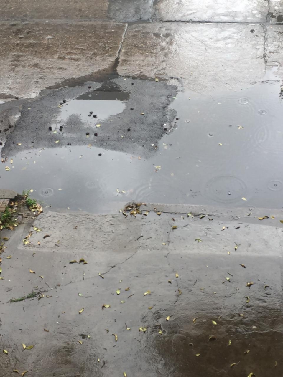 Cañería destruida y laguna en 57 entre 17 y 18