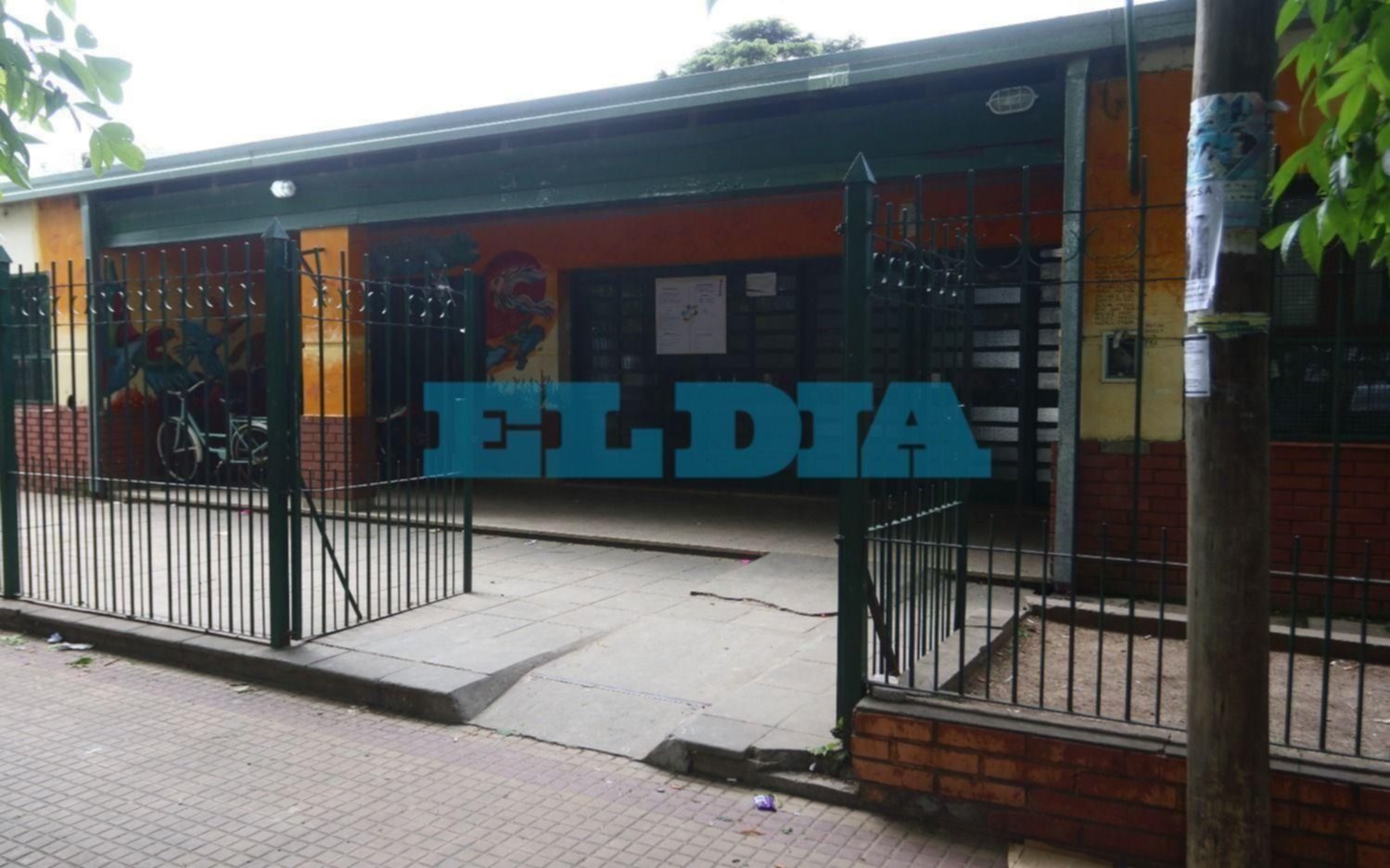La escuela, la jungla y la ley del más fuerte