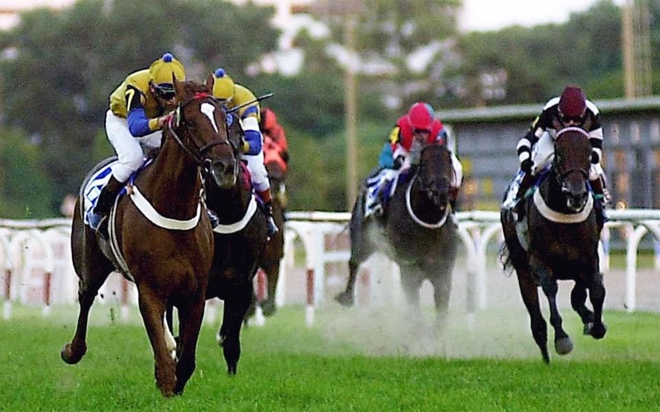 Le ganó un juicio al Hipódromo porque un caballo dejó a su marido impotente